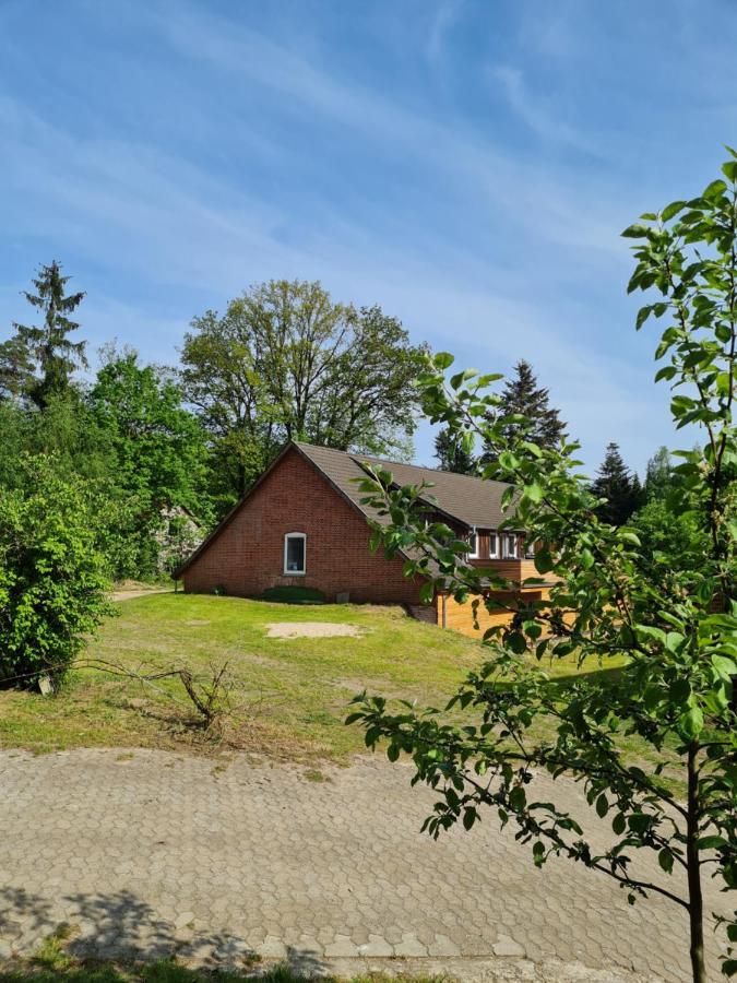 Appartement Dammann'S Hof à Bispingen Extérieur photo